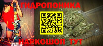 гашик Будённовск