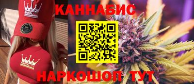 гашик Будённовск