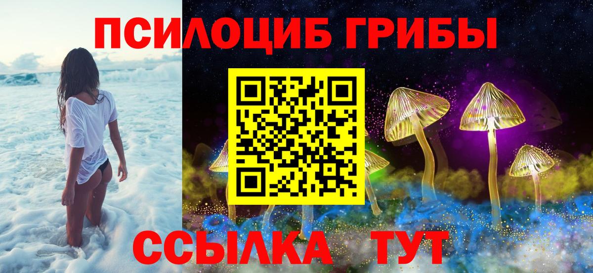 Крымск  Псилоцибиновые грибы Magic Shrooms  купить закладку  Вход с VPN 